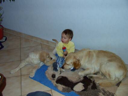 spielen als Trio      -031203