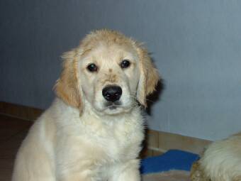 nass aber gl�cklich 28.11.