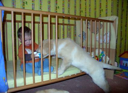 Zwei die sich Alles teilen 29.11.