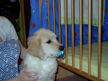 wer ist hier das Baby?? 3011.