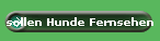 sollen Hunde Fernsehen