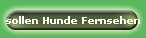 sollen Hunde Fernsehen