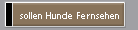 sollen Hunde Fernsehen